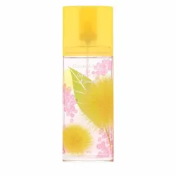 Elizabeth Arden Green Tea Mimosa Eau De Toilette Spray 100 ml