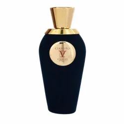 Cianuro V by Canto Extrait De Parfum Spray (Unisex) 100 ml