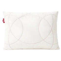 Zizzz - Kissen Bio-Baumwolle & Schafwolle (Swisswool )60x70, Swisswool Kissen, 60 x 70 cm