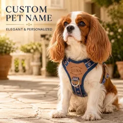 Maßgefertigtes Hunde-Brustgeschirr Personalisiertes Graviertes Kunstleder-Namensschild Verstellbare Atmungsaktive Retro-Weste für Kleine und Mittelgroße Hunde