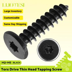 Torx Ultra-Dünne Flachkopf-Blechschrauben aus Schwarzem Edelstahl M2 M3 M4 mit Sechskant-Sternantrieb