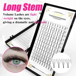 Abonnie Wide Premade Fan Lash Extensions Volume Fans Lashes 3d/4d/5d/6d Long Stem Volume Fan Professionelle Wimpernverlängerungen