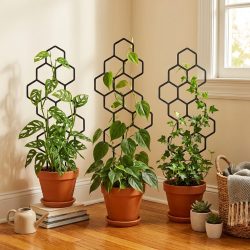 2 Stück Pflanzengitter im Wabendesign, rostfreie Kunststoffstütze für Topfreben und Blumen, Klettergerüst für den Innen- und Außenbereich