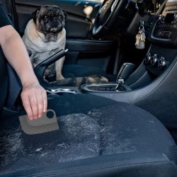 1pc Auto Innen Haar Reinigung Pinsel Auto Reinigung Schaber Werkzeug Haar Entfernung Pinsel Schaber