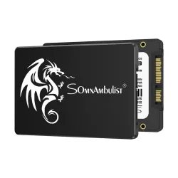SSD 128GB 256GB 512GB Interne Sata3 Solid-State-Laufwerk 2,5 Zoll SomnAmbulist SSD für PC Laptop
