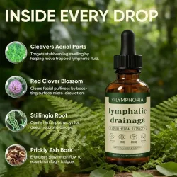 60ml Lymphdrainage-Tropfen Natürliche Kräuterformel Toxin-Elimination Schwellungsreduktion Lymphunterstützende Flüssigkeit