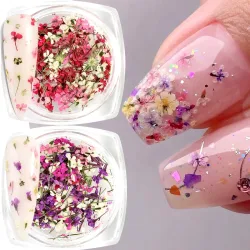 3D Mix Colors Flower Nail Art Sticker Resin ? Sommerliche natürliche zerkleinerte Blumen-Aufkleber für Nagelkunst-Zubehör und Applikationen zum Selbermachen