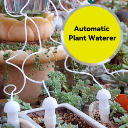 2/6/10 Stück automatische Pflanzenbewässerung, verstellbarer Siphon, Tropfbewässerungsgerät für Reisen, Garten, Topfpflanzen, Gemüse