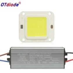 10W 20W 30W 50W 70W 100W High Power LED Perlen 30-36V Chip COB dioden + Fahrer Für DIY Flutlicht Scheinwerfer Lampen Lampen Flip chip
