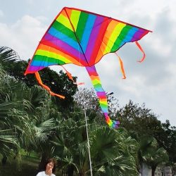Regenbogendrachen im neuen Design, modisch, einfach fliegen, Drachen mit langem Schwanz und fliegendem Spielzeugdrachen für Kinder, Kinder, Outdoor-Spaß, Sport