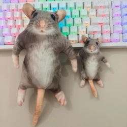 Neues Modell einer simulierten Ratte und Plüschpuppe mit Skelett-Konkavform für Katzen- und Hundespielzeug als Haustierspielzeug