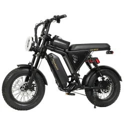 Elektrisches Mountainbike für Erwachsene, 16