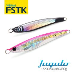 FSTK Wolfsbarschköder Jugulou Casting Jig 15g30g40g60g80g Thunfisch Weitwurfköder Spinning Kunstköder Löffel Salzwasserangeln