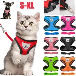 Katzengeschirr mit Leine, verstellbare Weste, Polyester-Mesh, atmungsaktives Geschirr, reflektierend, für kleine Hunde, Katzenzubehör