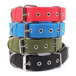 Solide Hundehalsbänder Nylon-Hundehalsband für kleine, mittelgroße und große Hunde Teddy Keji Pitbull Bulldog Beagle