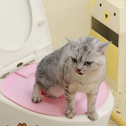 Bestes Plastik-Katzentoiletten-Trainingsset Wiederverwendbare Welpen- und Katzenstreumatte Katzentoiletten-Trainer Haustier-Reinigungsprodukt für Katzentraining