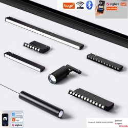 2.0 Typ Smart Magnetic Track Light Tuya Zigbee 3.0 DC48V LED Downlight Spot Flood Grille Lampen Mordern Home Wohnzimmer Schwarz ?