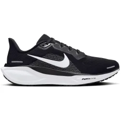 Nike Damen Pegasus 41 Schuhe