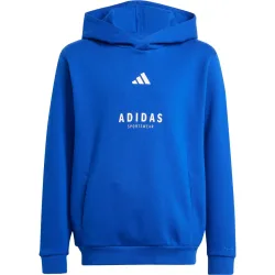 adidas ALLSZN GFX Hoodie Jungen