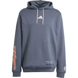 adidas FC Bayern München Hoodie Herren