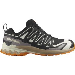 Salomon Herren XA Pro 3D V9 GTX Schuhe