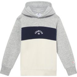 Champion Kapuzensweatshirt, mit farblich passender Fütterung, aus Baumwolle und Polyester