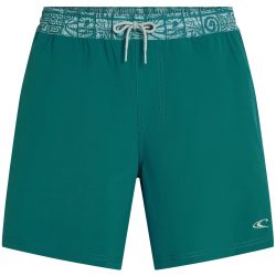 O'NEILL POCKET PRINT 16