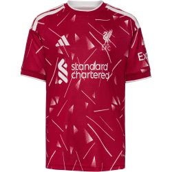 adidas Performance Fussballtrikot 