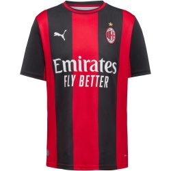 PUMA Fussballtrikot 