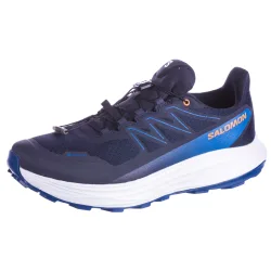 Salomon ALPHARIDE 2 GTX Laufschuhe Herren