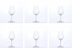 6er Set Vinoteque Snifter Spirits 17cl 2cl+4cl geeicht