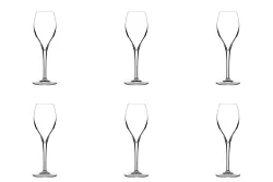 6er Set Opale Champagnerglas 16cl