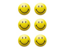 Magnet-Set 6St. Smiley ø3cm