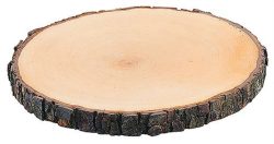 Rindenbrett rund ø27-30cm Dicke: 2cm, Esche lackiert