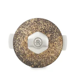 Revolution 2 Deckel zu Kasserolle D22cm cosmos gold