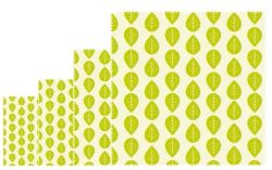 Nuts Innovations - Pflanzenwachstücher-Set, 4 Stück, Grün