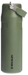 IceFlow Flip Straw Flasche 0.7l dried pine