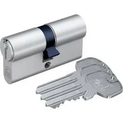 Basi 5000-3030 Profil-Doppelzylinder 60 / 60mm