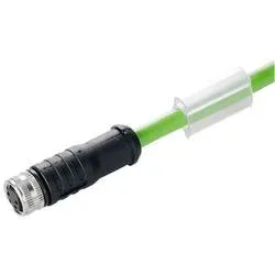 Weidmüller 1301370025 Sensor-/Aktor-Datensteckverbinder, konfektioniert M8 Buchse, gerade 0.25 m Polzahl Sensoren: 4 1