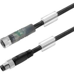 Weidmüller 1550230050 Sensor-/Aktor-Steckverbinder, konfektioniert M8 Stecker, gerade, Buchse, gerade 0.5 m Polzahl: 3 1