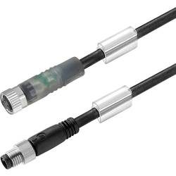 Weidmüller 1550230100 Sensor-/Aktor-Steckverbinder, konfektioniert M8 Stecker, gerade, Buchse, gerade 1 m Polzahl: 3 1
