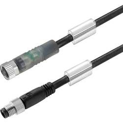 Weidmüller 1550230200 Sensor-/Aktor-Steckverbinder, konfektioniert M8 Stecker, gerade, Buchse, gerade 2 m Polzahl: 3 1