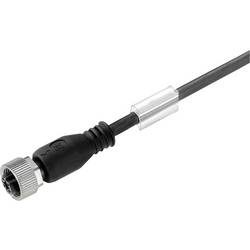 Weidmüller 1879710100 Sensor-/Aktor-Steckverbinder, konfektioniert M12 Buchse, gerade Polzahl: 12 1 St.