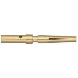 HDC MBUS4 F AWG26-24 Weidmüller Inhalt: 100 St.