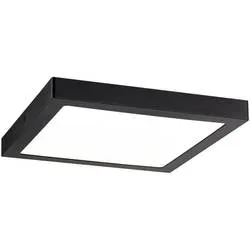 Paulmann Abia 70985 LED-Panel 22 W Warmweiß Schwarz (matt)