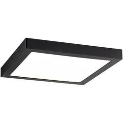 Paulmann Abia 70985 LED-Panel 22 W Warmweiß Schwarz (matt)
