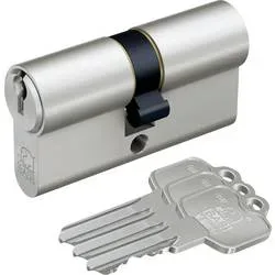 Basi V5011-2727-0011 Profil-Kurzzylinder 27 / 27mm