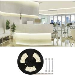 Paulmann 71042 LED-Streifen-Erweiterung mit Stecker 24 V 20 m Warmweiß 20 m