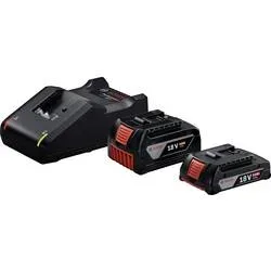 Bosch Starter-Set 18V (GBA 18V 4,0/2,0Ah + GAL 18V-40 Professional)