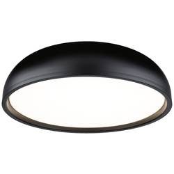 Paulmann 71084 Oka LED-Deckenleuchte LED 24 W Schwarz (matt)